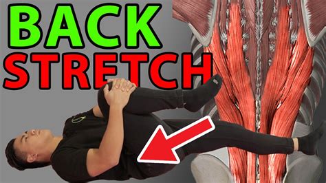 12 Best Lower Back Stretches For Pain Stiffness Facet Syndrome