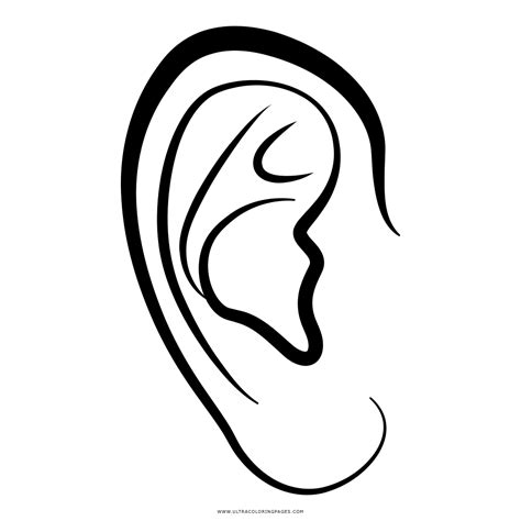 Best Ideas For Coloring Ear Coloring Clipart