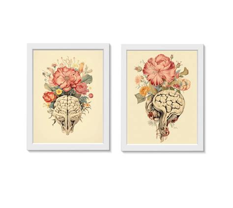 Kit Quadros Decorativos C Rebro Florido Neurologia Elo