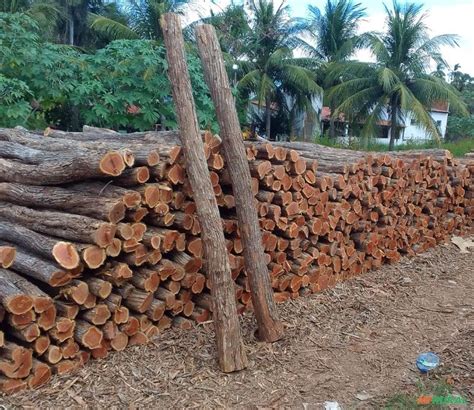 Sabia Cercas Preço Venda Compra MF Rural