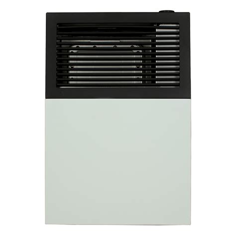 Ashley Hearth, Direct Vent Wall Heater, 8k, Liquid Propane, Heat Output