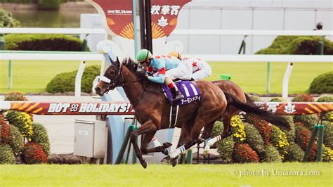 【競馬壁紙】アーモンドアイ｜パソコンpc・スマホiphonexsxr対応・タブレット 【馬空 Umazora 】競馬写真