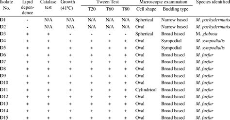 Identification Of Malassezia Spp Based On The Biochemical Tests And