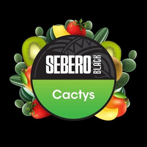 Cactys SEBERO