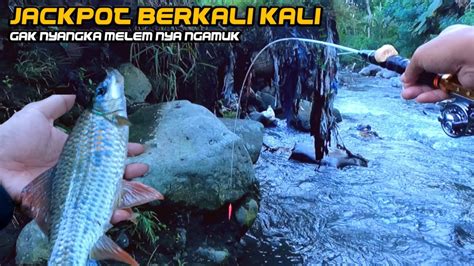 SUNGGUH DI LUAR NURUL Joran Ku Berkali Kali Di Hajar Melem BABON