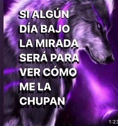 Wolf Meme Ei Nerd Avatar Spanish Memes Dark Photography Saiki