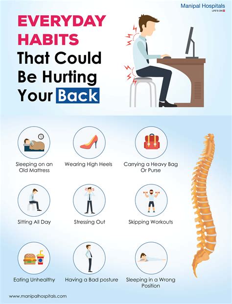 Everyday Habits That Could Be Hurting Your Back - Infographic Plaza