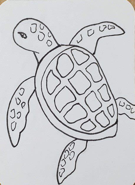 Simple Sea Turtle Drawing