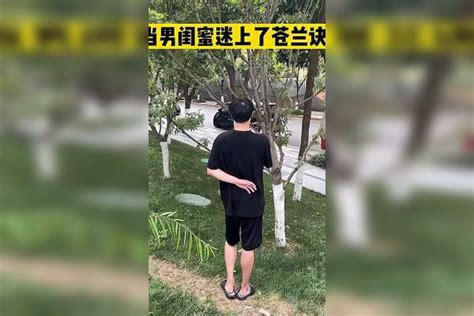 苍兰诀你们看吗反正本座是不愿看的 苍兰