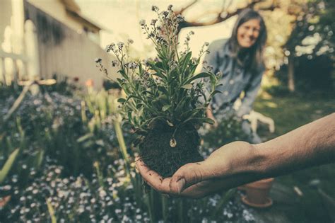 10 Tips Om Je Tuin Winterklaar Te Maken ContainerOnline