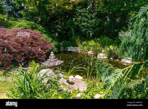 Little pond in a Japanese style garden Stock Photo - Alamy