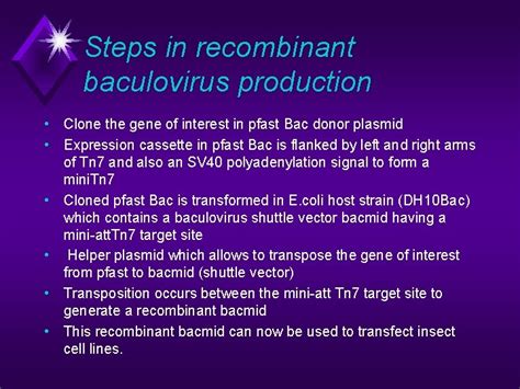 Baculovirus Expression System Paras Yadav 1 Annu Yadav