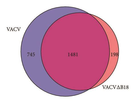 Effect Of B18 Absence On Host Gene Expression During VACV Infection