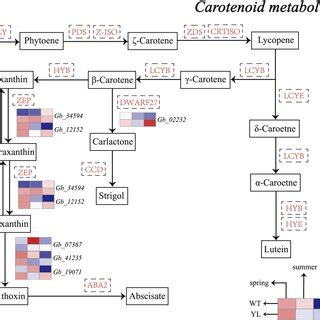 Expression Profiles Of Differently Expressed Genes DEGs Involved In