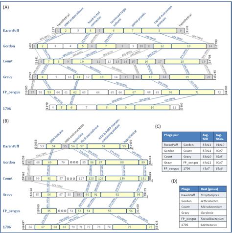 Comparative Analysis On Representative Genomes Of The Main Genomic Download Scientific Diagram