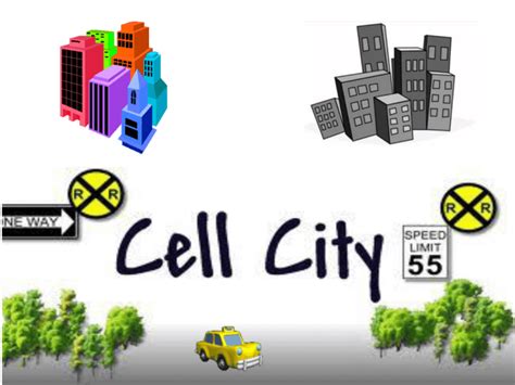 Cell City Analogy