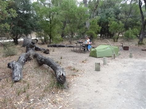 Explore Belvidere Campground, Leschenault, WA