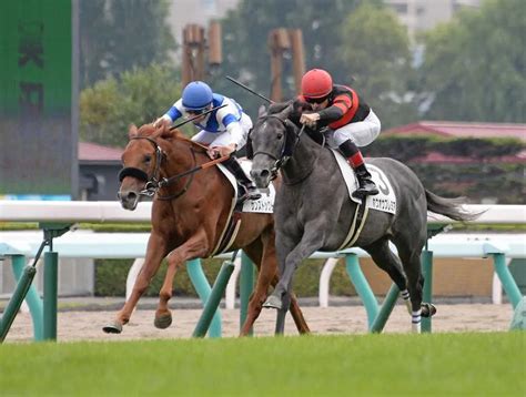 ＜札幌5r新馬戦＞サンストックトン（左）との叩き合いを制して勝ったホウオウプレミア（撮影・千葉 茂） ― スポニチ Sponichi