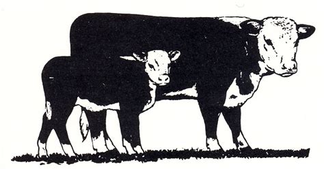 Hereford Cow And Calf Clipart Clip Art Library