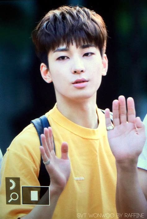 원우Raffine on Twitter Wonwoo Seventeen wonwoo Changwon