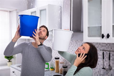 Mould Prevention Tips for Your Home - Flood Services