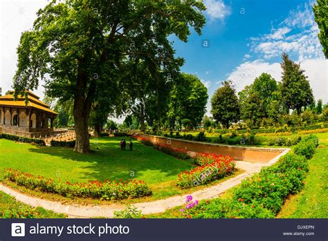 Shalimar Gardens Srinagar Stock Photos & Shalimar Gardens Srinagar ...