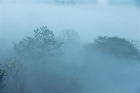 Premium Photo | Fog mist