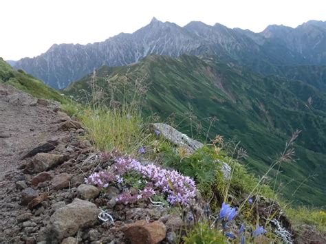 太郎山・北ノ俣岳上ノ岳・赤木岳・黒部五郎岳中ノ俣岳・三俣蓮華岳・丸山・双六岳・樅沢岳・槍ヶ岳 Hideさんの水晶岳・薬師岳・黒部