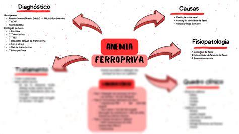 SOLUTION Mapa Mental De Anemia Ferropriva Studypool