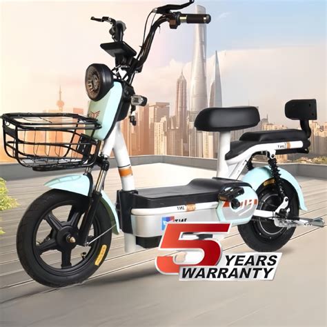 2 Wheels Ebike Skuter Motor Ebike Electric Scooter Adult Motor Power