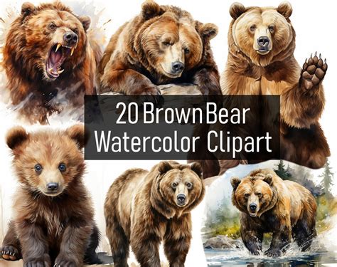 20 Watercolor Brown Bear Illustration Cliparts Digital Download ...