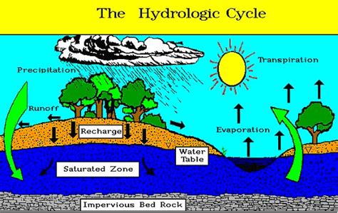 The Hydrologic Cycle