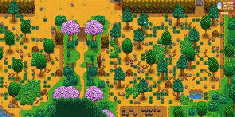 Stardew Valley How To Catch An Octopus