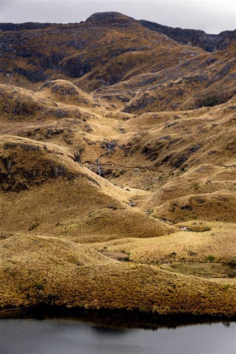 Vertical Photo Of A Water Stream Meeting A Glacial Lake In Cajas