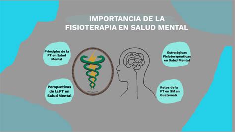 Importancia De La Fisioterapia En Salud Mental By Josseline Coloma