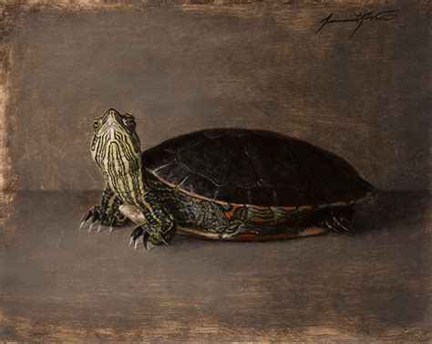 Painted Turtle - Oil on Canvas | Artist Jeremiah J. White