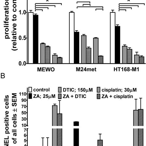 Proliferation And Apoptosis In Melanoma Cells After Combination