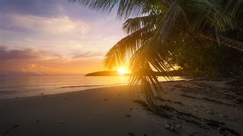 Palm Trees Ocean Waves Beach Sand Mountain Under White Clouds Blue Sky