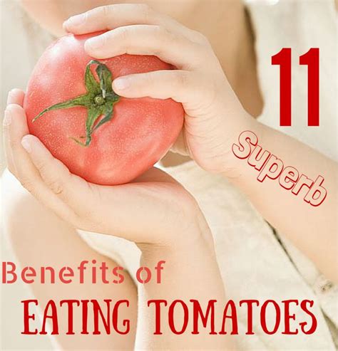 11 Superb Benefits Of Eating Tomatoes Tomato Benefit Superb