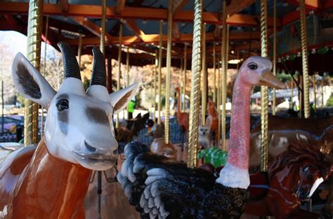 Photos The Zoos New Carousel Is One Wild Ride At The Smithsonian