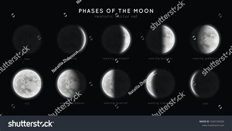 Realistic Phases Moon Vector Elements Lunar Stock Vector (Royalty Free ...