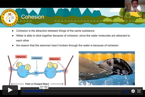 Walking Water Experiment - Synchronydayone