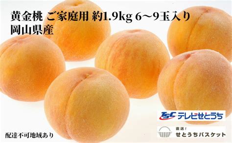 【楽天市場】【ふるさと納税】桃 2025年 先行予約 岡山 黄金桃 ご家庭用 約19kg 6～9玉入り もも モモ 岡山県産 国産 フルーツ