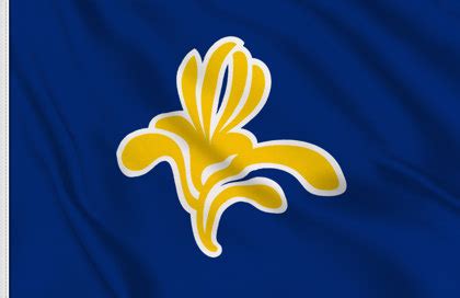 Brussels-Capital Region Flag