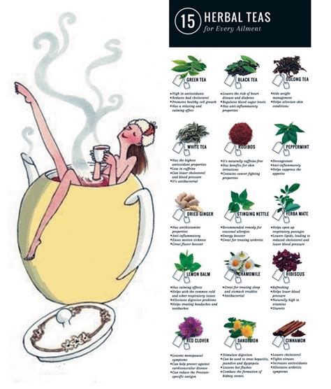 Printable Herbal Tea Benefits Chart