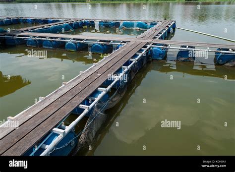 Fish Cage Floating In River Use For Raising Fish Built With Blue