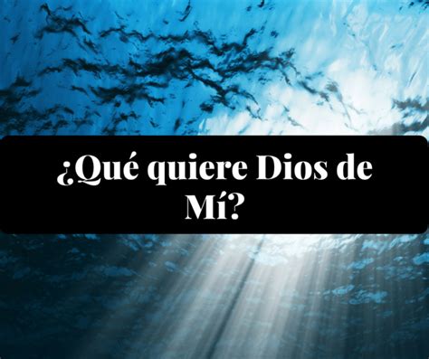 Qué quiere Dios de mí Teología para el Camino