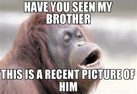 Brother and sister memes – Artofit