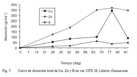 Fertilizaci N Con N P K Y S Y Curvas De Absorci N De Nutrimentos En