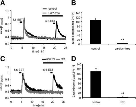 Eet Is Released Upon Neuronal Activity And Induces Mechanical Pain